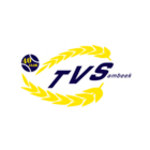 logo_tvs_3.jpg